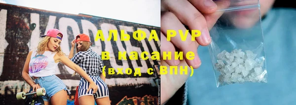 хмурый Пересвет