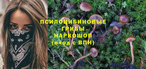 винт Армянск