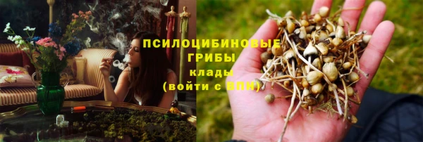 СК Арсеньев